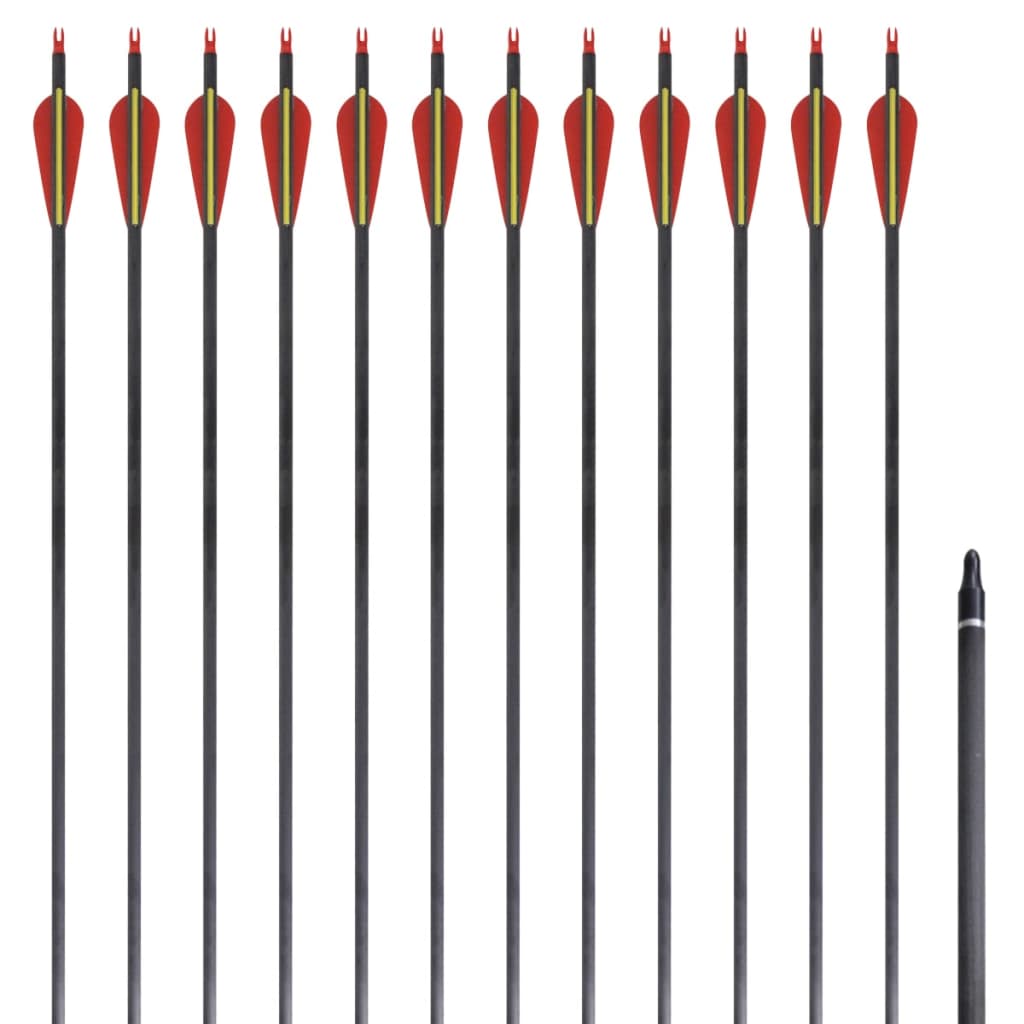 Standardní šípy k recurve luku 30" 0,76 cm karbon 12 ks