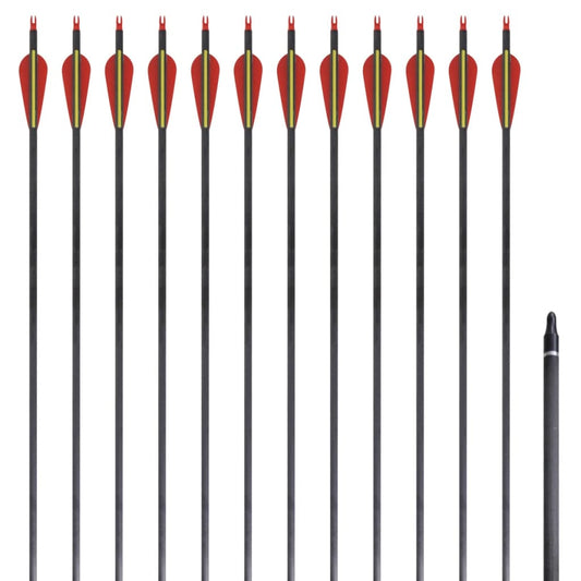 Standardní šípy k recurve luku 30" 0,76 cm karbon 12 ks